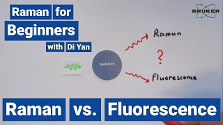 Raman and Fluorescence | Raman for Beginners | Raman’s Natural Enemy