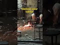 Hardwork never betrays.#hardwork #life #villagelife #life #work #harship #motivation #viral #videos