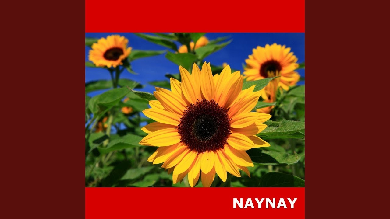 Watch Naynay on YouTube Watch Naynay on YouTube