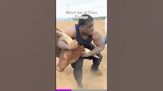 He wrestled a bull (and won)
