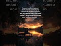 Счастье любит тишину#цитаты #shorts