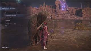 Elden Ring Nightreign: Shield Crash With Double Balancers Is Overlooked!