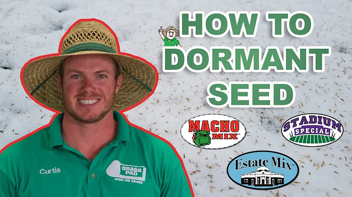 What is Dormant Seeding? How to Dormant Seed in the Winter