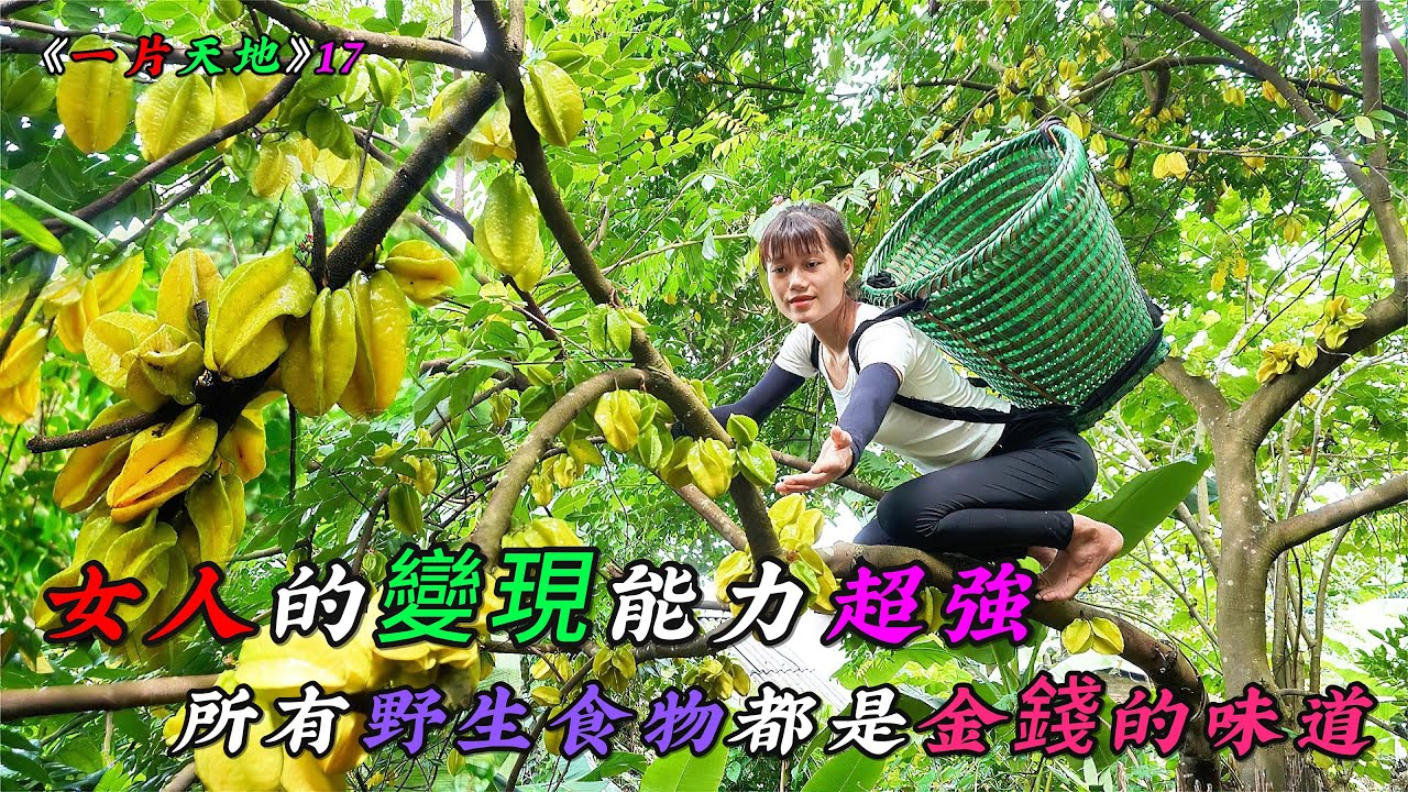 女人的變現能力超強，所有野生食物都是金錢的味道《一片天地》17