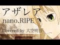 【フル歌詞付き】「アザレア」nano.RIPE/citrus OPアコースティックカバー