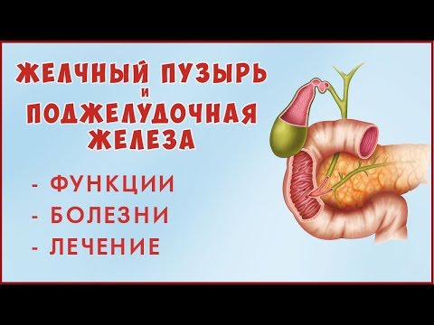 Как растворить КАМНИ в Желчном Пузыре без операции! Желчный Пузырь и Поджелудочная Железа! ЗОЖ.