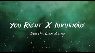 Doja Cat \u0026 Gwen Stefani's 'You Right' X 'Luxurious' (Tiktok Mashup) [Lyrics]