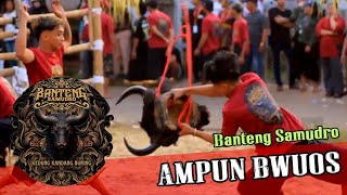 [HD] 🦊 Banteng Samudro Kalapan Wild Mystique Fiesta Kraft 芸能 공연  #nendeskombet