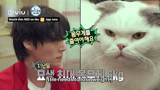 Ahn Jae Hyun is Anju's Personal Cat Butler 🐱 | I Live Alone