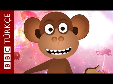 Video: Maymun Yılı Nasıl Kutlanır