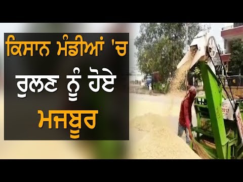 ਹੜ੍ਹਾਂ ਤੋਂ ਬਾਅਦ ਮੰਡੀਆਂ `ਚ ਰੁਲੇ ਕਿਸਾਨ | TV Punjab