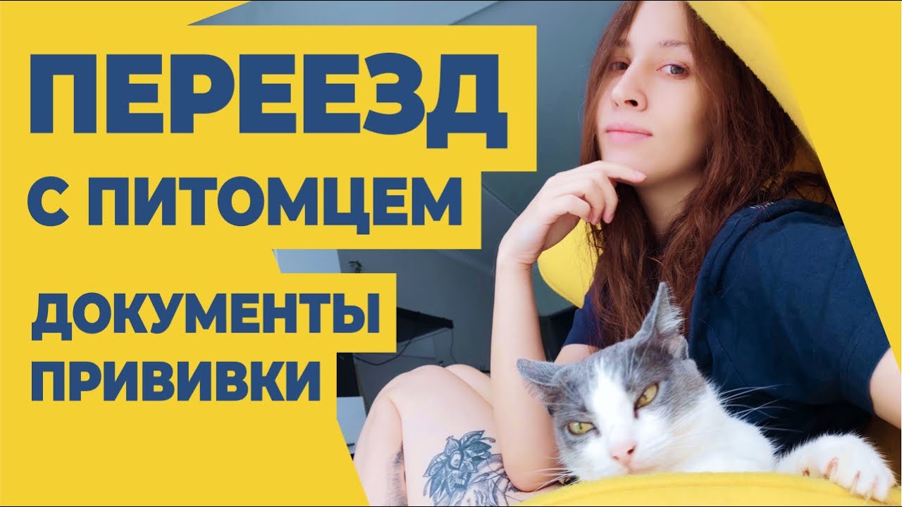 Смотреть видео