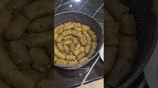 دلمه برگ مو رو با سس مخصوصش درست کن                                مریم تفکری  آشپزی  غذا  دلمه سمعها