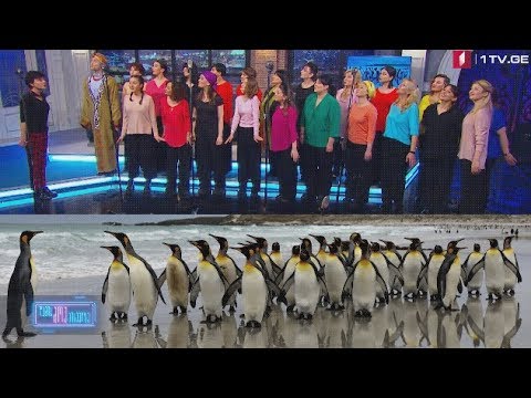 ღამის შოუ პირველზე - გორის ქალთა კამერული გუნდი და  ხელმღვანელი თეონა ცირამუა