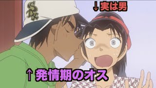 服部平次が残念すぎる回【アニメ名探偵コナン】【漫画・ツッコミ】【ぺけたん】