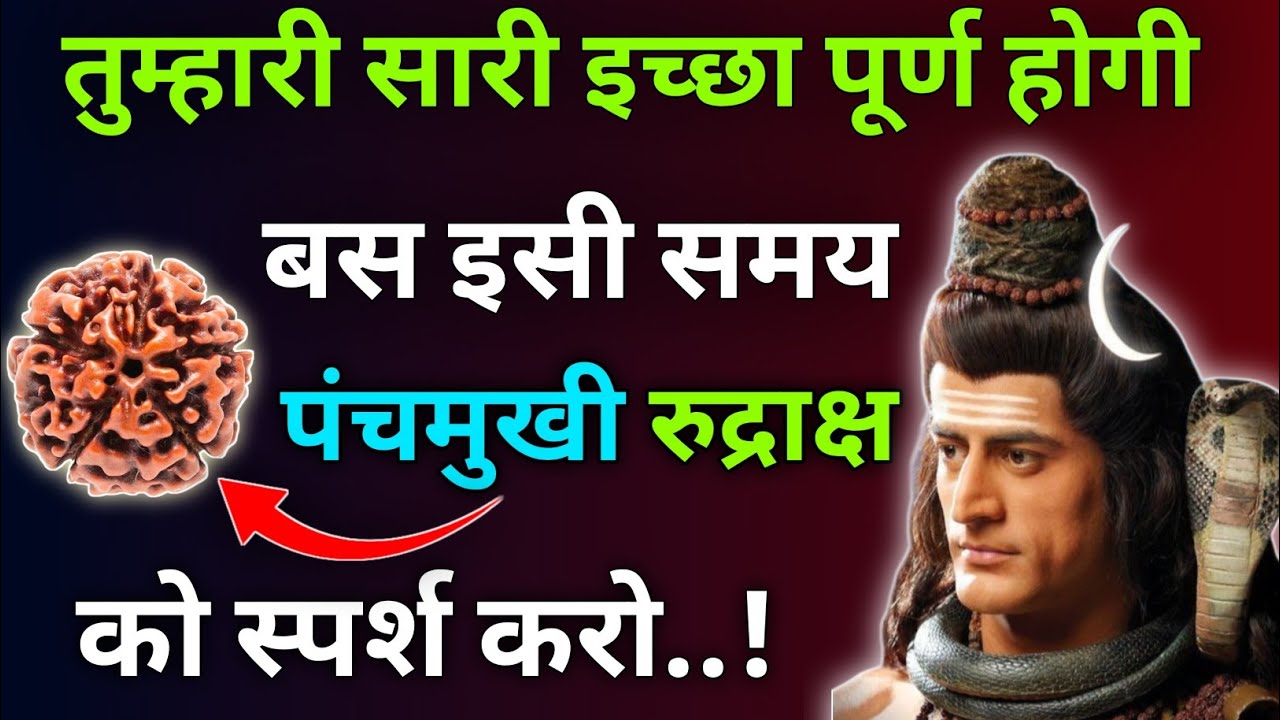 तुम्हारी सारी इच्छा पूर्ण ✨  होगी बस इसी समय पंचमुखी 📿 रुद्राक्ष को स्पर्श करो |Mhadev Updesh 