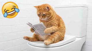 Funny Animals 😂 Funniest Cats & Dogs Videos 2026 🤣🤪 Part 2