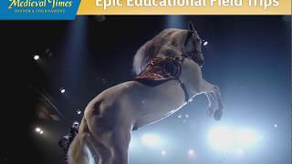 Epic Educational Field Trips at Medieval Times