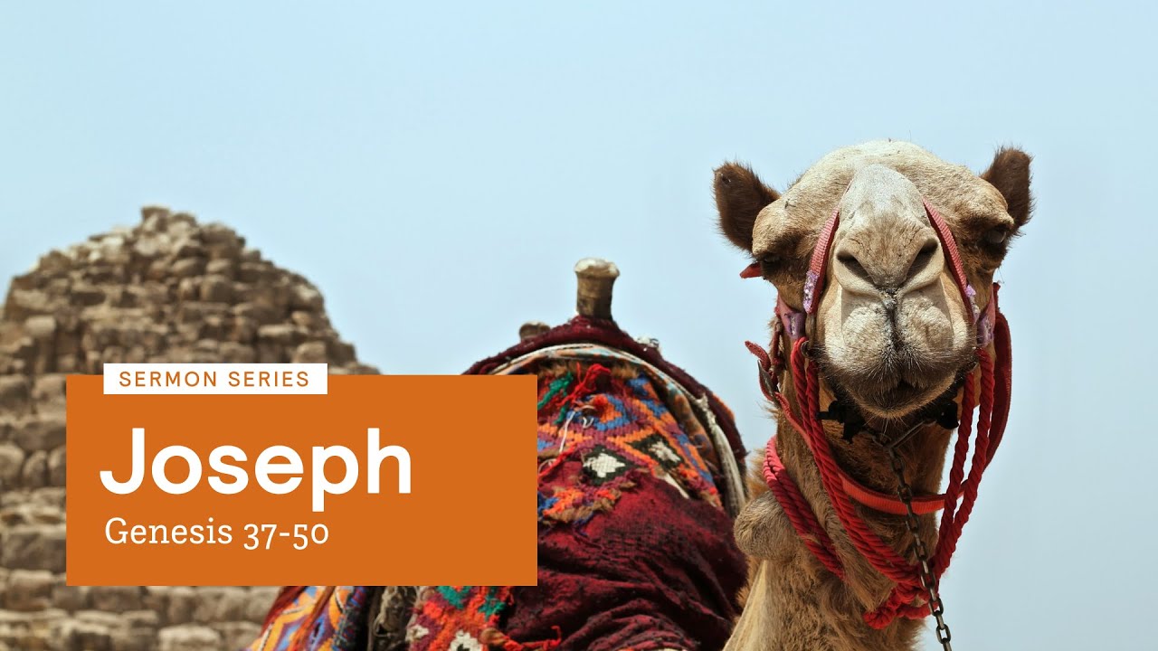 Angus Courtney | Joseph: The Dreamer | Genesis 37