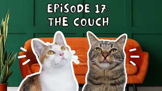 Cat Conversations with Chip & Biskit | Ep. 17: The Couch! by Chip The Manx 928 views 5 months ago 2 minutes, 13 seconds