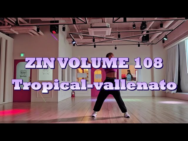 Zin108/진볼륨108/zumba/다산줌바/Tropical Vallenato /핑키댄스/거울모드-Bailar Contigo class=