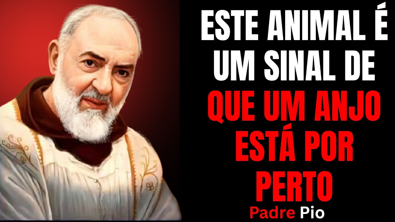 PADRE PIO REVELOU: ESTE ANIMAL É UM SINAL DE QUE UM ANJO ESTÁ POR PERTO