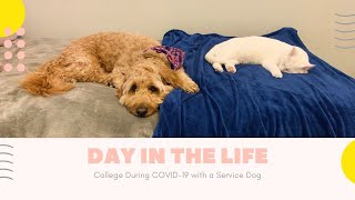 DAY IN THE LIFE || COLLEGE DURING COVID19