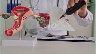 #Why Do Women Bleed Monthly#Uterus Structure Explained'🔴
