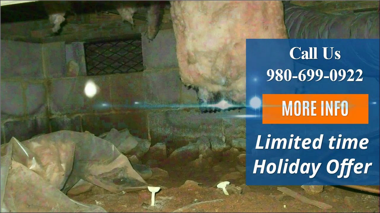 Crawl Space Encapsulation Contractor Near Me: Hoping For A B