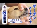 【犬の歯磨き代わり】水に薄めるだけでOK！トーラス　ボーダンオーラルケア