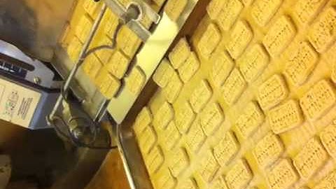 BakeryMachinery.Net Janssen Full Pan Rotary Molder.mp4