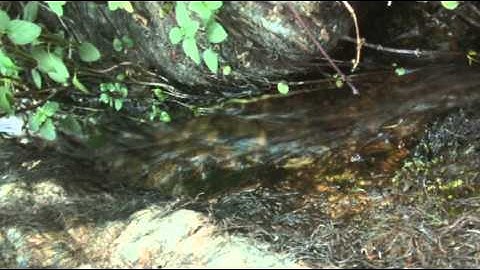 PUERTAS kin Kanaluna as UX Jesuinu as Gesuino Deiana Best Musix