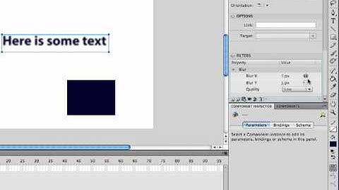 Flash (CS 4 or higher) Using filters