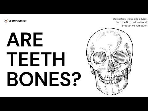 वीडियो: कौन से दांत हड्डियों से बनते हैं?