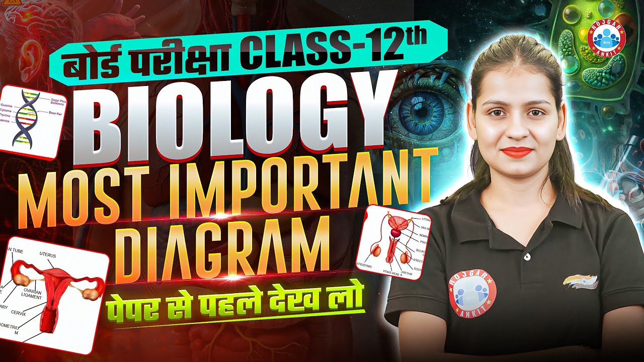 Class 12 Biology Diagrams One Shot | 12th Biology Important Diagrams ...