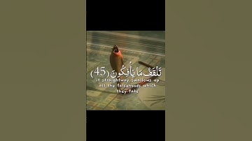 قصة موسى عليه السلام، سورة الشعراء