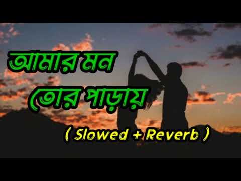 আমার মন তোর পাড়ায়।।Amar Mon Tor Paray।। slow+Reverb।। lo-fi ।।Bengali song