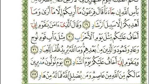 ماهر المعيقلي سورة غافر المصحف الملون المرمز المصحف مكتوب 40