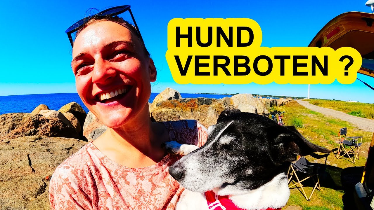 Einreise Mit Hund Schweden