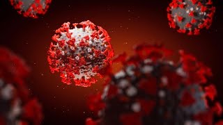 US coronavirus cases rise for the third day in a row, and China approves nasal spray vaccine testing