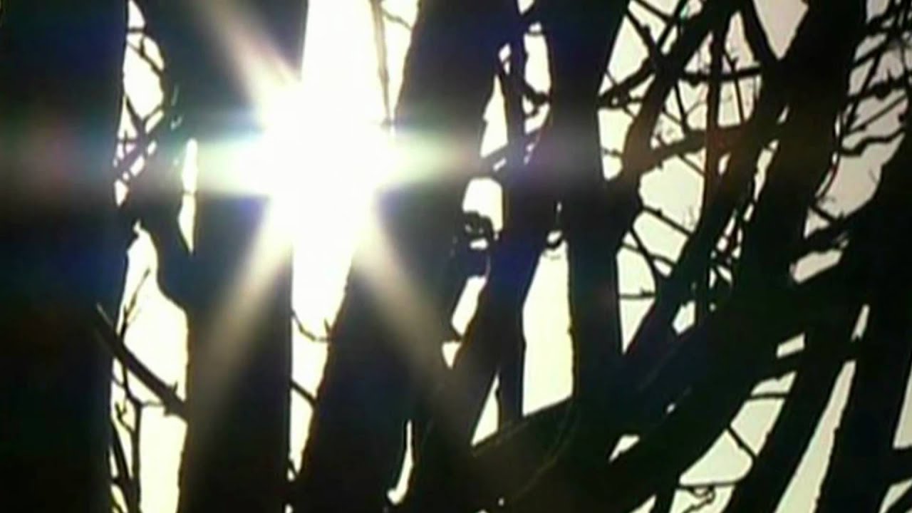 Den himmelske lovsang (Leif Liodden)