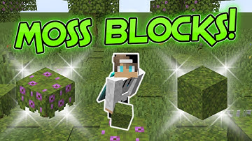 How to get Moss Blocks, How to Use them! Minecraft 1.17