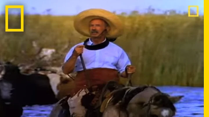 Gauchos | National Geographic