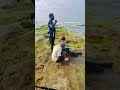 #முல்லைத்தீவு #nayaru #fishing #meenavan #lifeisbutadream #srilankafishing