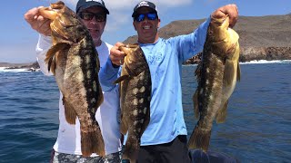 Stoked on fishing hooks up with todd kline and ty ponder for some full
speed calico bass action at san clemente island. guys catch 9 inch
weedless pl...