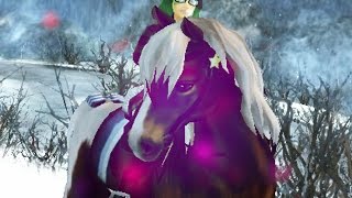 [BSS] UNITY - SSO Icelandic Horse MEP part 4