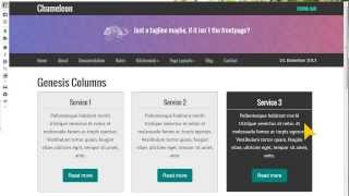 Colored boxes for Dynamik Website Builder/Genesis