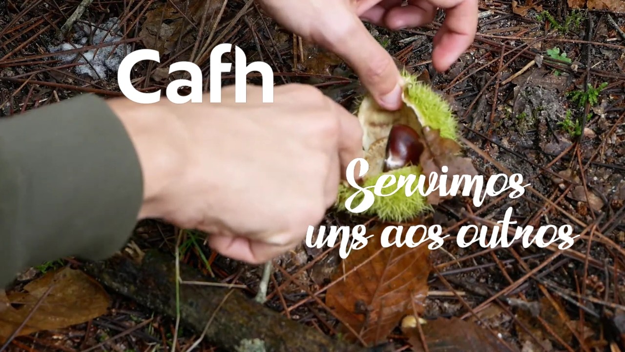 Cafh | Servimos uns aos outros