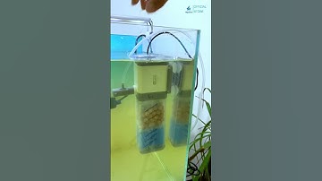 Máy Lọc Nước Bể Cá 4 Trong 1 YEE: bơm, Lọc, Tạo Sóng, Cung Cấp Oxy #locbeca #cacanh #locnuochoca