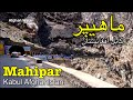 Jalalabad to Kabul , Mahipar Kabul Afghanistan / ماهيپر كابل افغانستان ، ځي په لوړو غرونو ليلا رباب